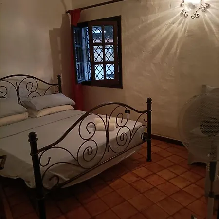Bed & Breakfast Buddha Summer Iun R6153 Olbia